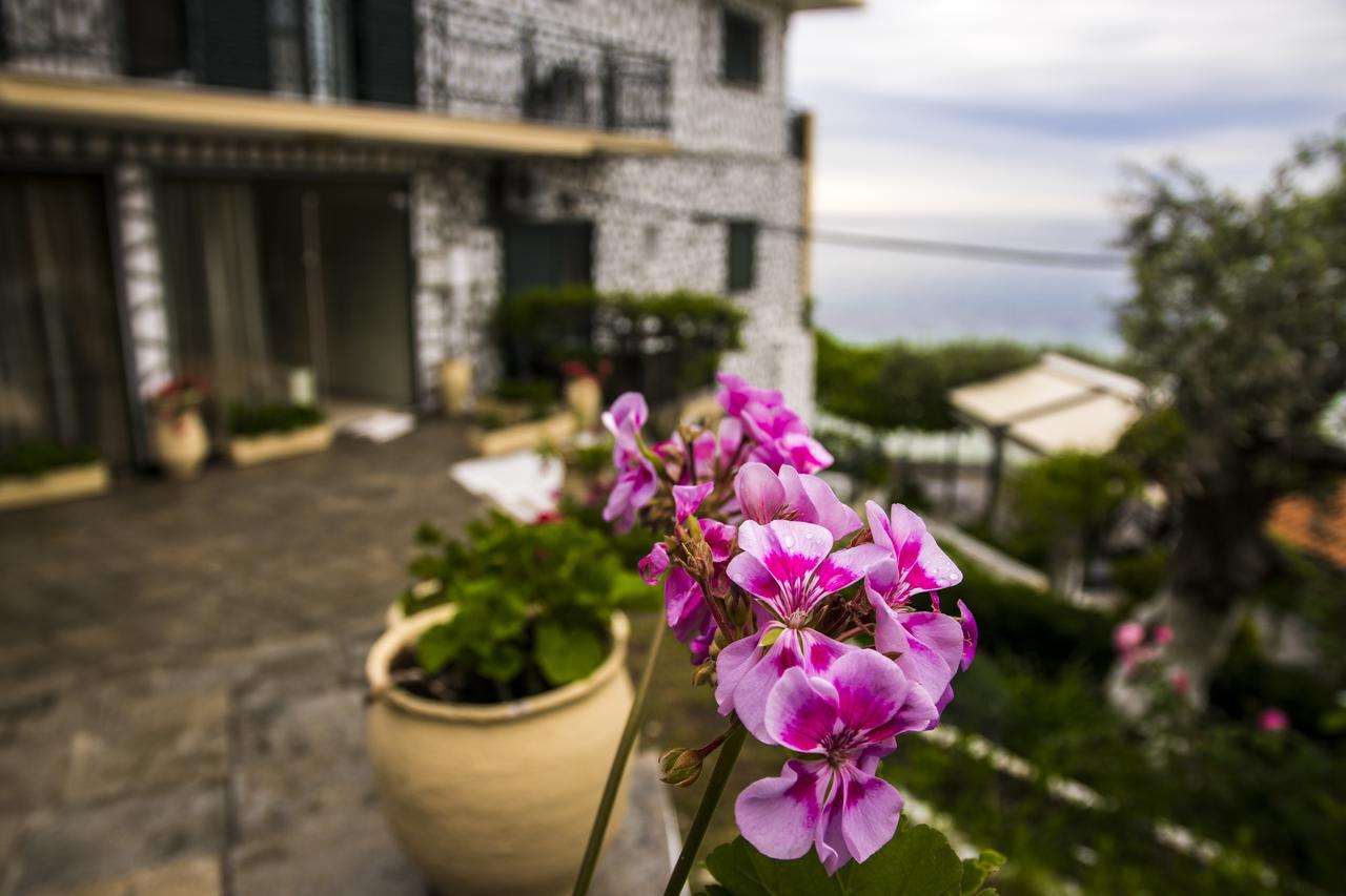Hotel Villa Nisteri Limenas  Exterior foto